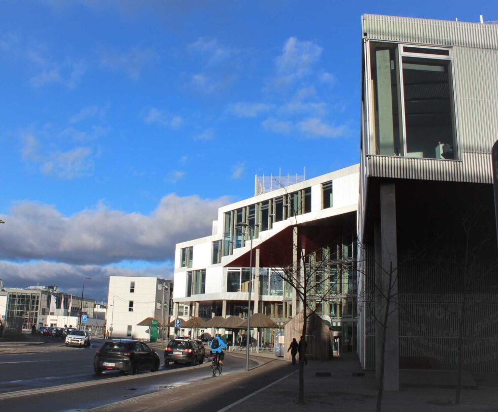 Sydhavn Guided tour Copenhagen Inside Out 3