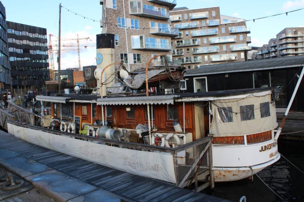 Sydhavn Guided tour Copenhagen Inside Out 9